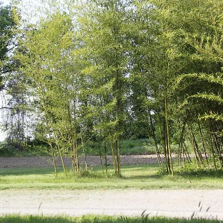 Ancienne Ferme Renovee *