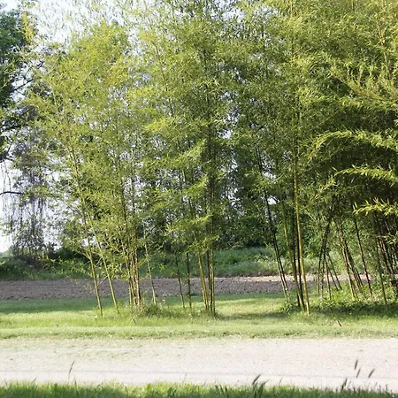 Ancienne Ferme Renovee *